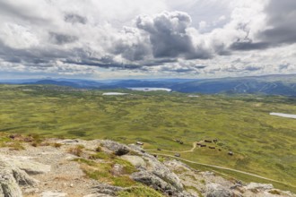 Gravel road through Jotunheimen National Park, view from Smørkollen mountain, Beitostølen,
