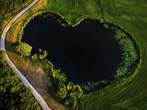Heart-shaped lake embedded in a green landscape from a bird's eye view, surrounded by trees,