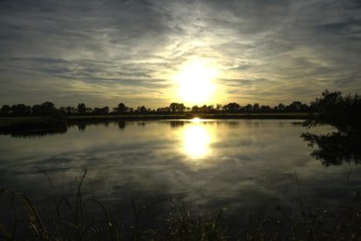 The setting sun bathes the tranquil lake in golden rays of light, grasses in the foreground,