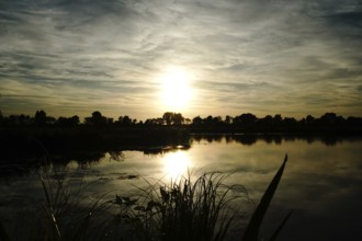 The sun is reflected in the still water of a lake, surrounded by grasses and trees, natural