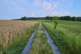 Quiet morning landscape with country lane and open countryside, Laudenau, Reichelsheim, Odenwald,