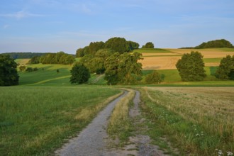 Rural country lane through yellowish fields and green hills, Laudenau, Reichelsheim, Odenwald,