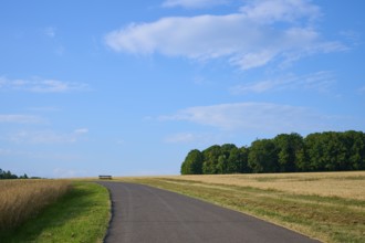 Asphalt road leads past fields to a distant bench under a blue sky with few clouds,