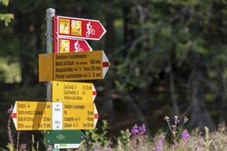 Hiking and biking trail, Sentiero Lucomagno, Campra, Blenio, Ticino, Switzerland
