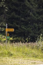 Hiking trail signpost, Sentiero Lucomagno, Campra, Blenio, Ticino, Switzerland