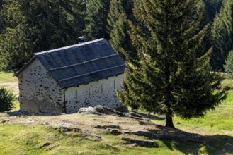 Settlement at mountain huts, Ör da Pü, Blenio, Ticino, Switzerland