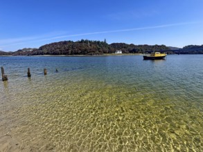 Yellow boat and old wooden piles in a loch with wooded island in the background under blue sky,