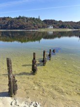 Old wooden posts in the clear water of a loch, a house on the wooded shore in the background,