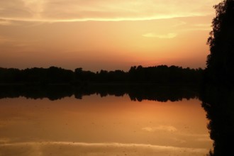 Lusatian pond landscape in the evening, summer, Saxony, Germany