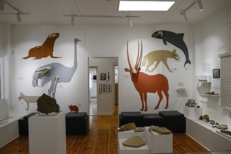 Exhibition rooms of the Jasper House Museum, Oranjemund, diamond restricted area, Karas region,