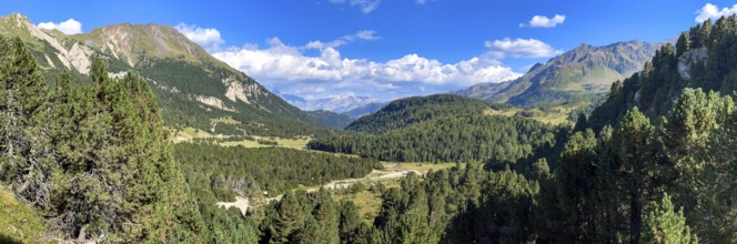 Alluvial plain near Alpe Gana, Sorgente del Brenno, headwaters, Lukmanier Pass, Blenio, Ticino,
