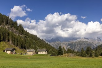 Mountain huts in high valley, Campra, Lukmanier Pass, Blenio, Ticino, Switzerland