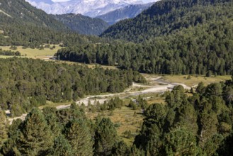 Alluvial plain near Alpe Gana, Sorgente del Brenno, headwaters, Lukmanier Pass, Blenio, Ticino,