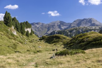Hiking trail, Alpe di Croce on the Lukmanier Pass, behind Pizzo Campo Tencia, Blenio, Ticino,