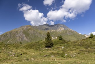 Motron on the Lukmanier Pass, Valle Santa Maria, Alpe di Croce, Blenio, Ticino, Switzerland