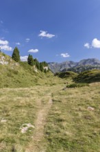Hiking trail, Alpe di Croce on the Lukmanier Pass, behind Pizzo Campo Tencia, Blenio, Ticino,