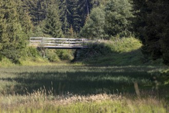 Wetland and wooden bridge, Campra, Blenio, Ticino, Switzerland