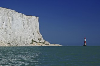 White cliff top next to a red and white lighthouse under a clear blue sky by the sea, Old Harrys