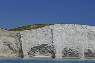 White cliff landscape with blue sky and calm sea, Old Harrys Rock, Beachy Head Lighthouse,