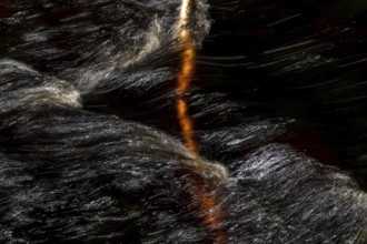 Branch of a birch tree in a fast flowing stream, light reflections on the water surface, Norway