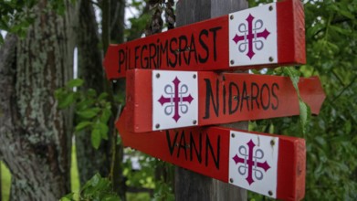 Signpost Nidaros for pilgrims with the Olav Cross, Olavsweg or Olavsleden, Eidsvoll, Norway