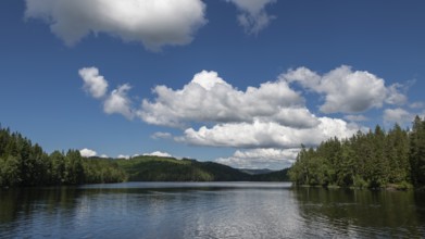 Lonely lake in the forest, near Eidsvoll, Norway