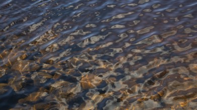 Light reflections on a wavy water surface, forest lake, Norway