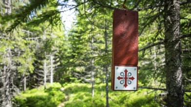 Red sign with Olav's cross hanging on a tree, forest path in bright sunshine, Olavsweg or