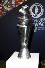 UEFA Nations League Football Cup, won by Portugal 2025 - Federal President's Civic Festival,