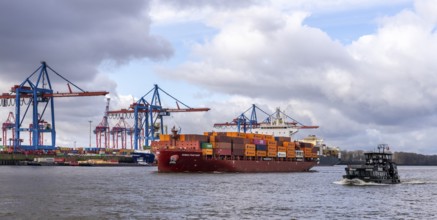 Ships and shipyards on the Elbe in the Hamburg harbour area, Hamburg, Germany