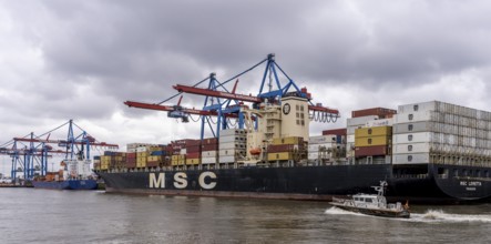 Ships and shipyards on the Elbe in the Hamburg harbour area, Hamburg, Germany