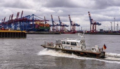 Ships and shipyards on the Elbe in the Hamburg harbour area, Hamburg, Germany