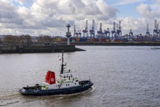 Ships and shipyards on the Elbe in the Hamburg harbour area, Hamburg, Germany
