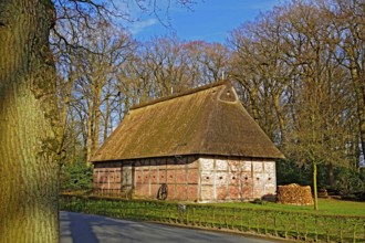Building with thatched roof, Bad Zwischenahn, Ammerland, Lower Saxony, Germany
