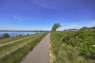 Alfsee reservoir, flood protection, flood retention basin, footpath and cycle path, fence, nature