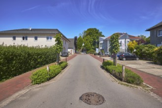 Multi-family houses, general development, residential building, trees, hedge, clinker pavement,