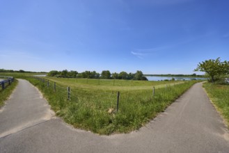 Reservoir Alfsee, flood protection, flood retention basin, nature reserve, fence, footpath and