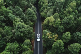 Aerial drone birds view of a lonely car on a highway going through the forest. Concept of