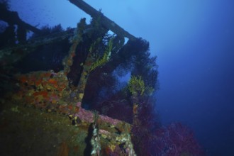 Underwater wreck overgrown with colourful soft corals in a deep blue environment. Dive site wreck