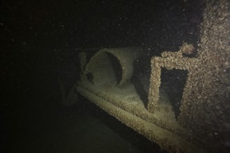 Dark shipwreck under water, heavily overgrown with quagga triangle mussels (Dreissena rostriformis