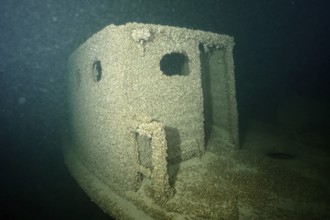 Shipwreck covered with quagga triangle mussels (Dreissena rostriformis bugensis), invasive species,