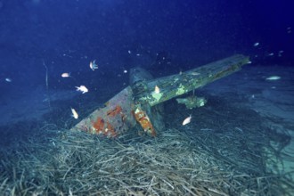 Weathered wreck of an aeroplane embedded in seagrass on the seabed with fish swimming past. Dive