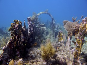 Old shipwreck under water overgrown with coral. Dive site John Pennekamp Coral Reef State Park, Key
