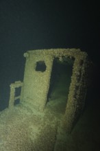 Shipwreck covered with quagga triangle mussels (Dreissena rostriformis bugensis), invasive species,