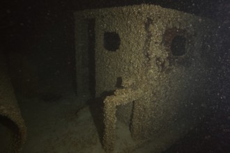 Old shipwreck covered with quagga triangle mussels (Dreissena rostriformis bugensis), invasive