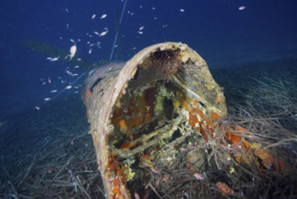 Underwater image of the cockpit of an aircraft wreck on the seabed. Dive site aircraft wreck