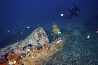A diver explores an old aircraft wreck overgrown with marine vegetation. Dive site aircraft wreck
