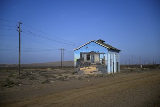 Painted house facade, graffito, brown hyena, diamonds, Oranjemund, Karas region, Namibia