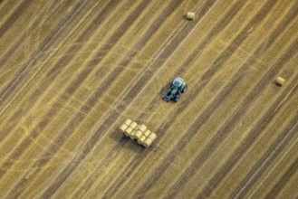 Aerial view, tractor harvesting grass, Mündelheim, Duisburg, Ruhr area, North Rhine-Westphalia,
