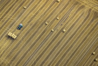 Aerial view, tractor harvesting grass, Mündelheim, Duisburg, Ruhr area, North Rhine-Westphalia,